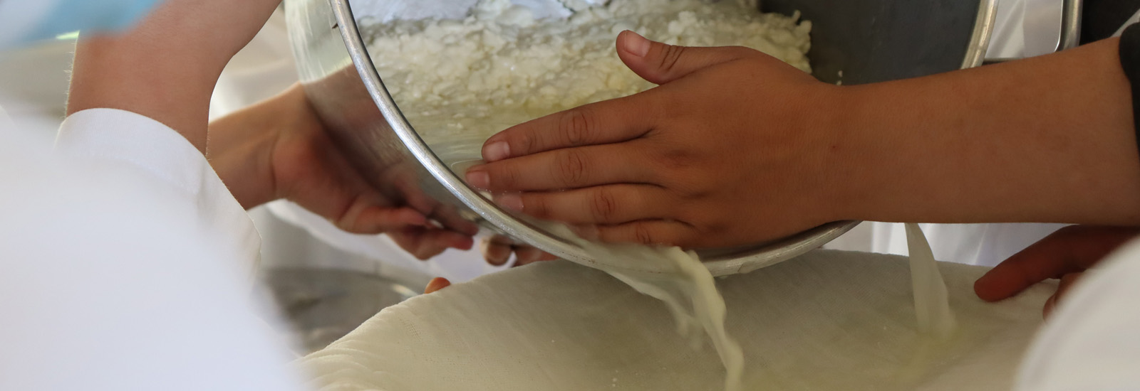 Ing. Industrias Alimentarias